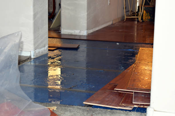 Professional Sewage Cleanup technician working in Trenton, FL